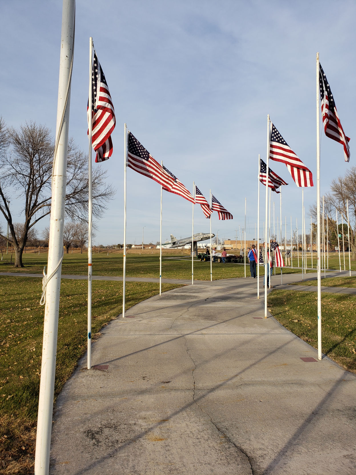 Flags_001.JPG